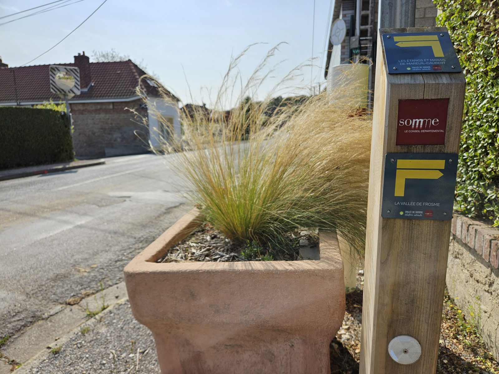 The Ponds and Wetlands of Mareuil-Caubert