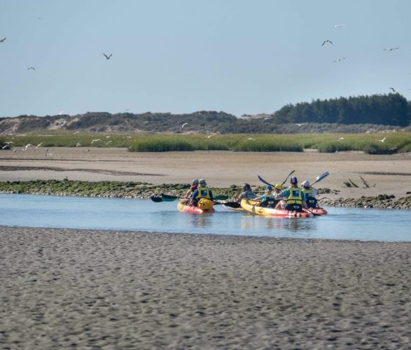 3D-Nature Baie d’Authie