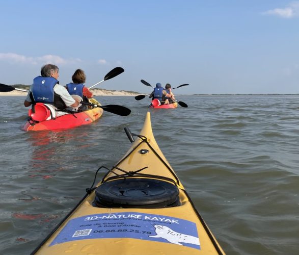 3D-Nature kayak sortie phoque baies de somme baie d’authie