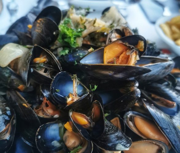 mussels-8156358_1280