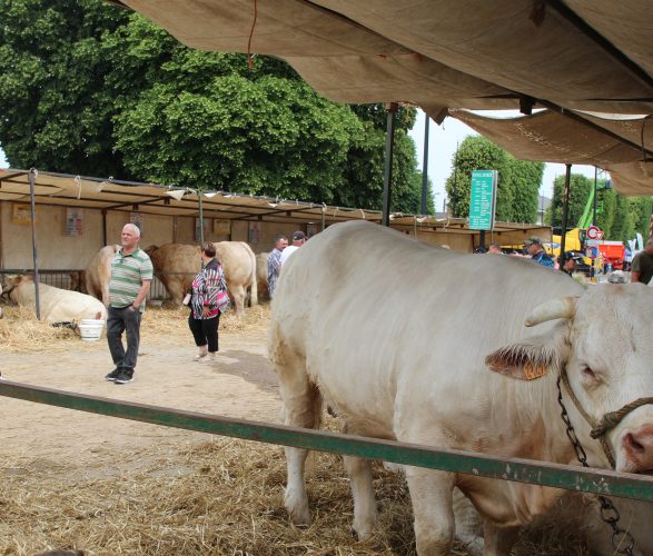 Festival de l’agriculture