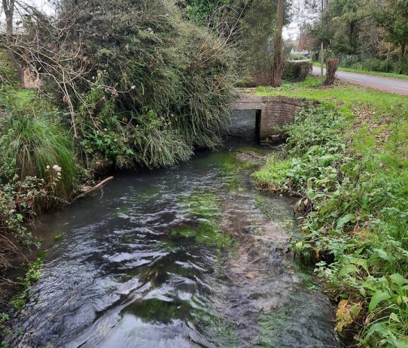 marais de saigneville