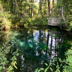 Le Marais de la Bouvaque