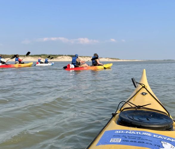 3D-Nature Baie d’Authie kayak