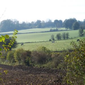 Autour du bois de Bailleul