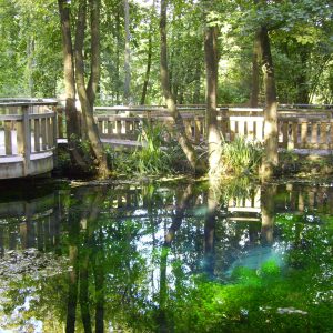 La ronde de l’eau