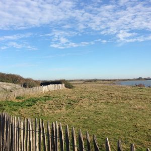 La Réserve d’Avifaune du Hable d’Ault