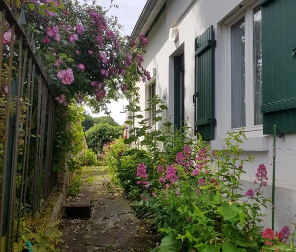 SAINT-VALERY-SUR-SOMME Les lilas