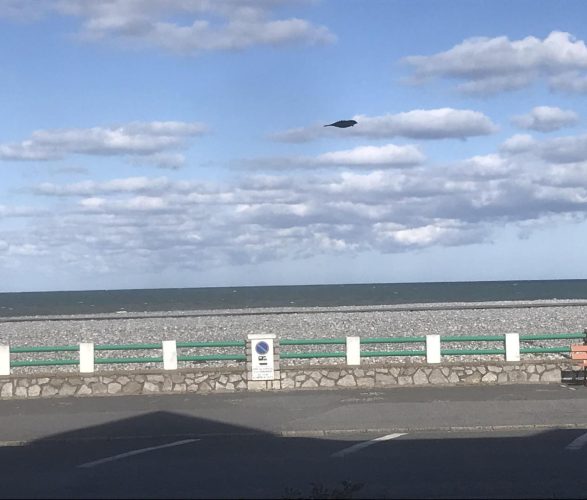 CAYEUX SUR MER Le vue mer