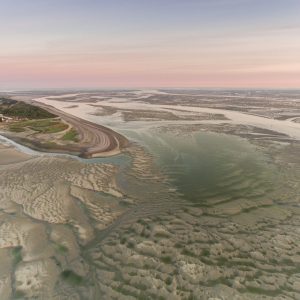 Les richesses de l’estuaire : grande marée