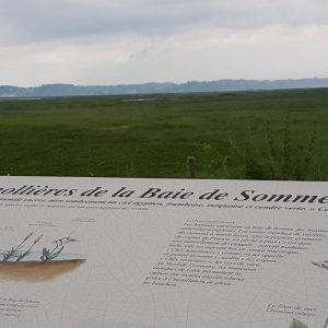 Belvédère les Mollières de la Baie de Somme