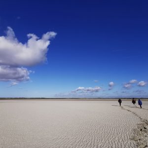 Olivier Noël Guide en Baie de Somme