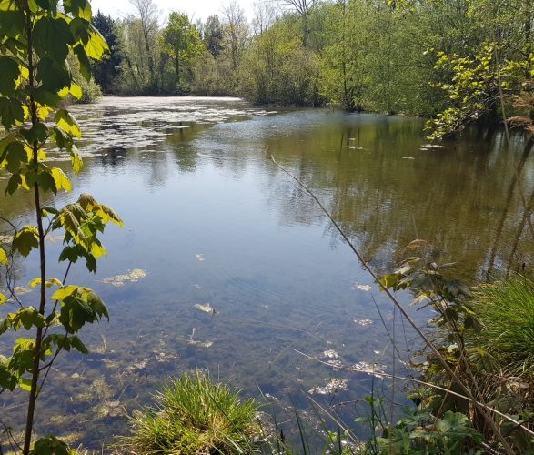 HPAPIC080FS00067_Camping les Etangs_étang_St Valery_Somme_HautsdeFrance