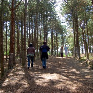 La Dune du Royon