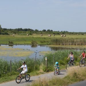 Circuit de l’Avocette